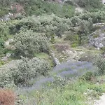 Гостевой дом Kuca Za Odmor Dobrila Елса