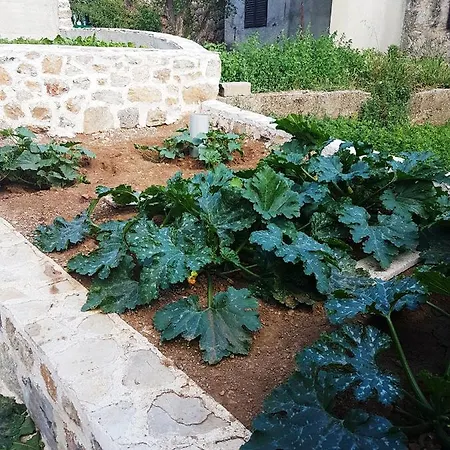 Vendégház Kuca Za Odmor Dobrila