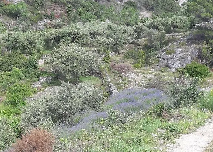 Pensionat Kuca Za Odmor Dobrila Jelsa (Hvar)