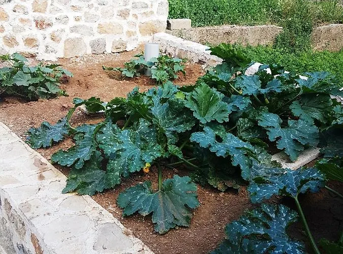 게스트하우스 Kuca Za Odmor Dobrila